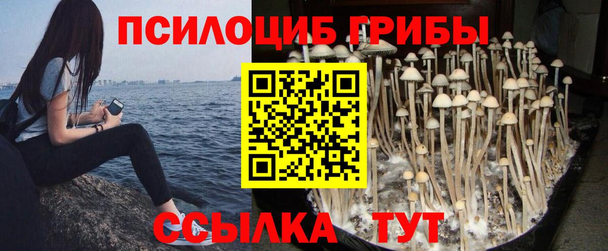 Галлюциногенные грибы MAGIC MUSHROOMS  Вход с VPN  Анапа  Псилоцибиновые грибы Cubensis 