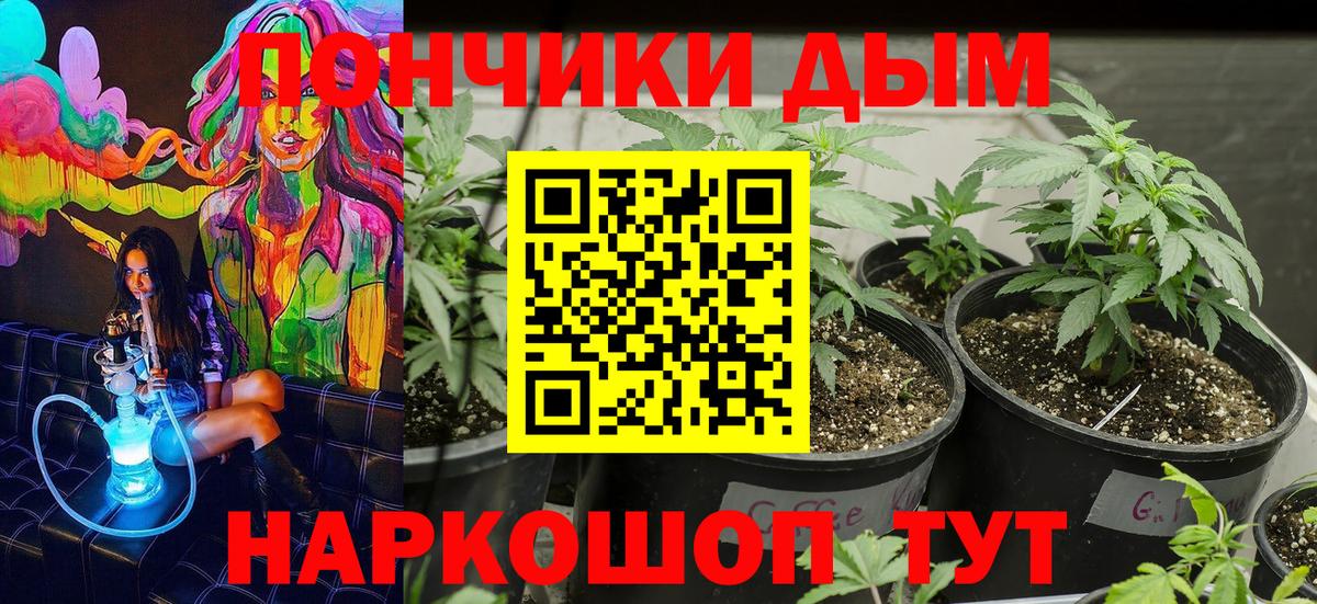 Шишки марихуана ГИДРОПОН  Бошки Шишки Bruce Banner  Вход с VPN  Бошки Шишки марихуана  Анапа 